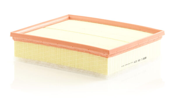 Mann - C 29034 - Filter Vazduha