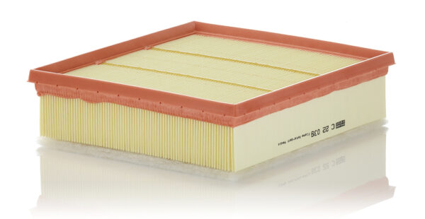 Mann - C 22039 - Filter Vazduha